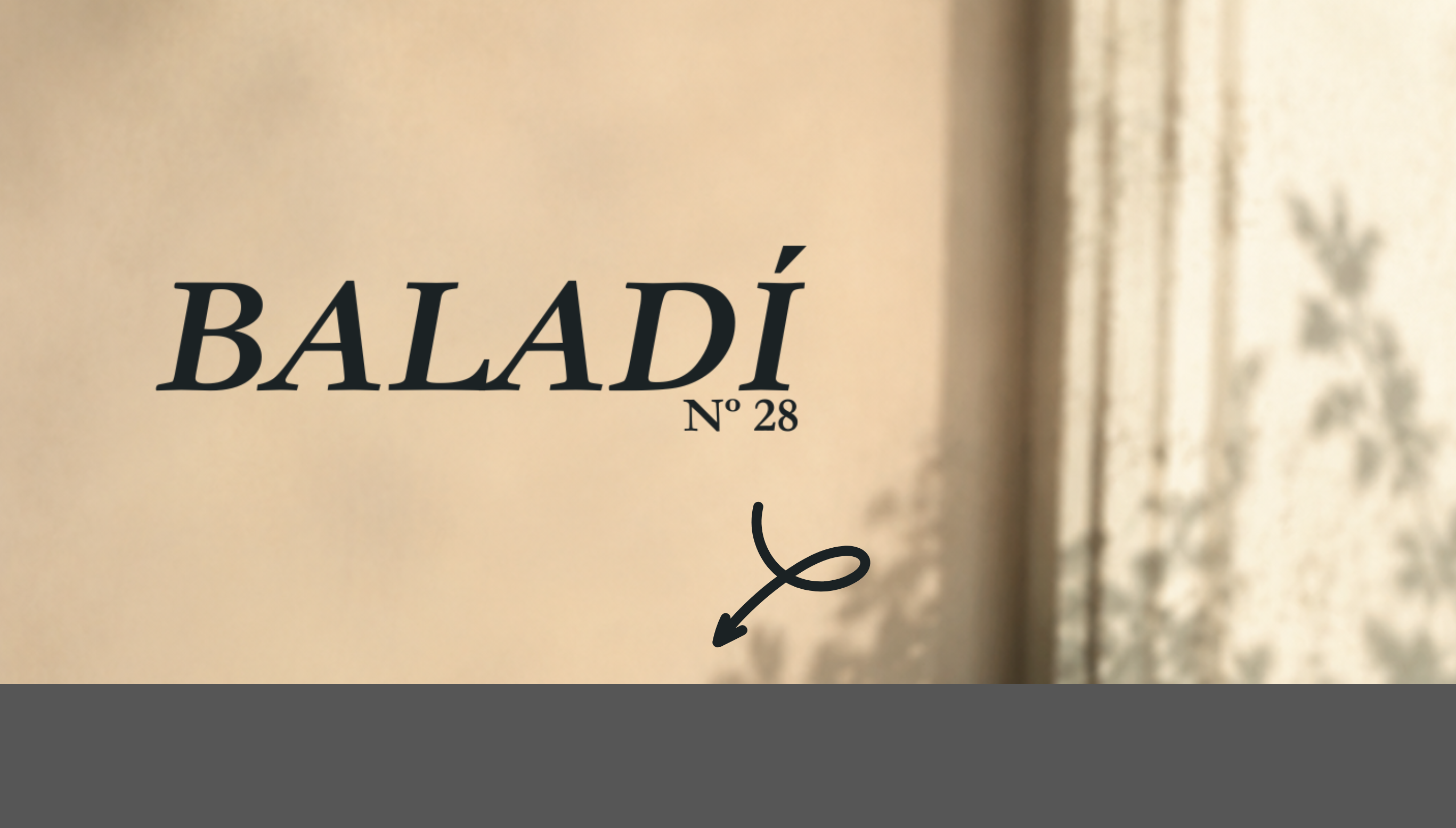 Nueva Edición Revista Baladí nº28 Especial Memorias